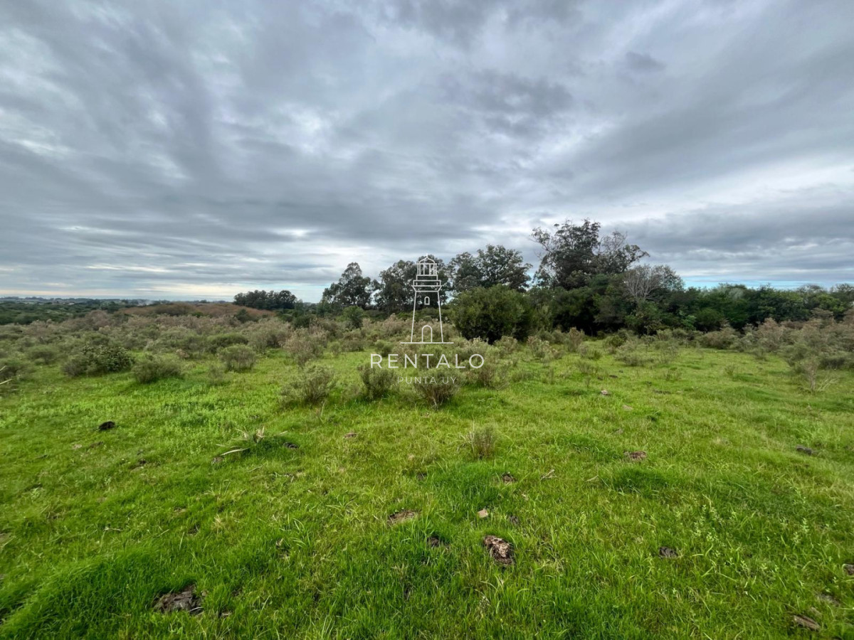 Chacra ID.1135 - Venta de chacras de 3 has en camino de Los Ceibos. Maldonado. 