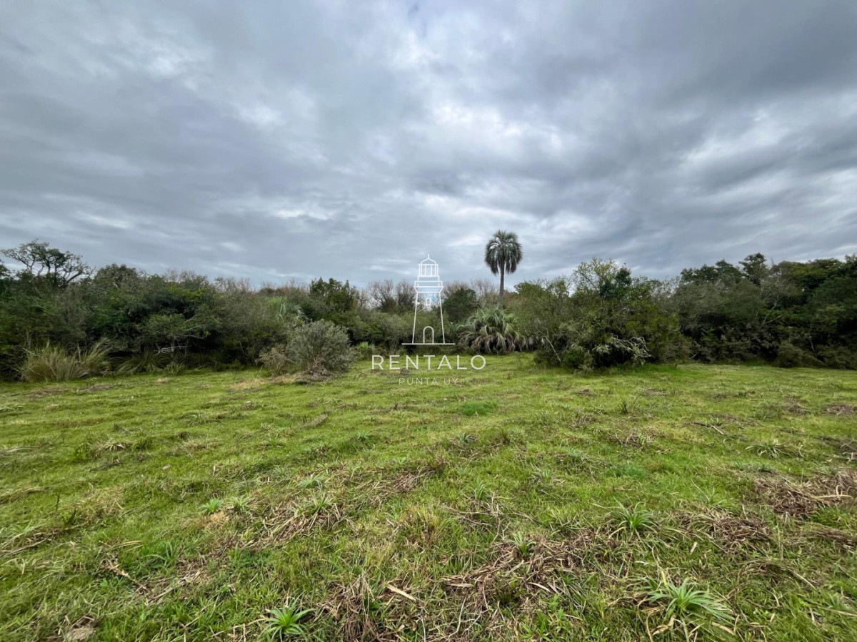 Chacra ID.1135 - Venta de chacras de 3 has en camino de Los Ceibos. Maldonado. 