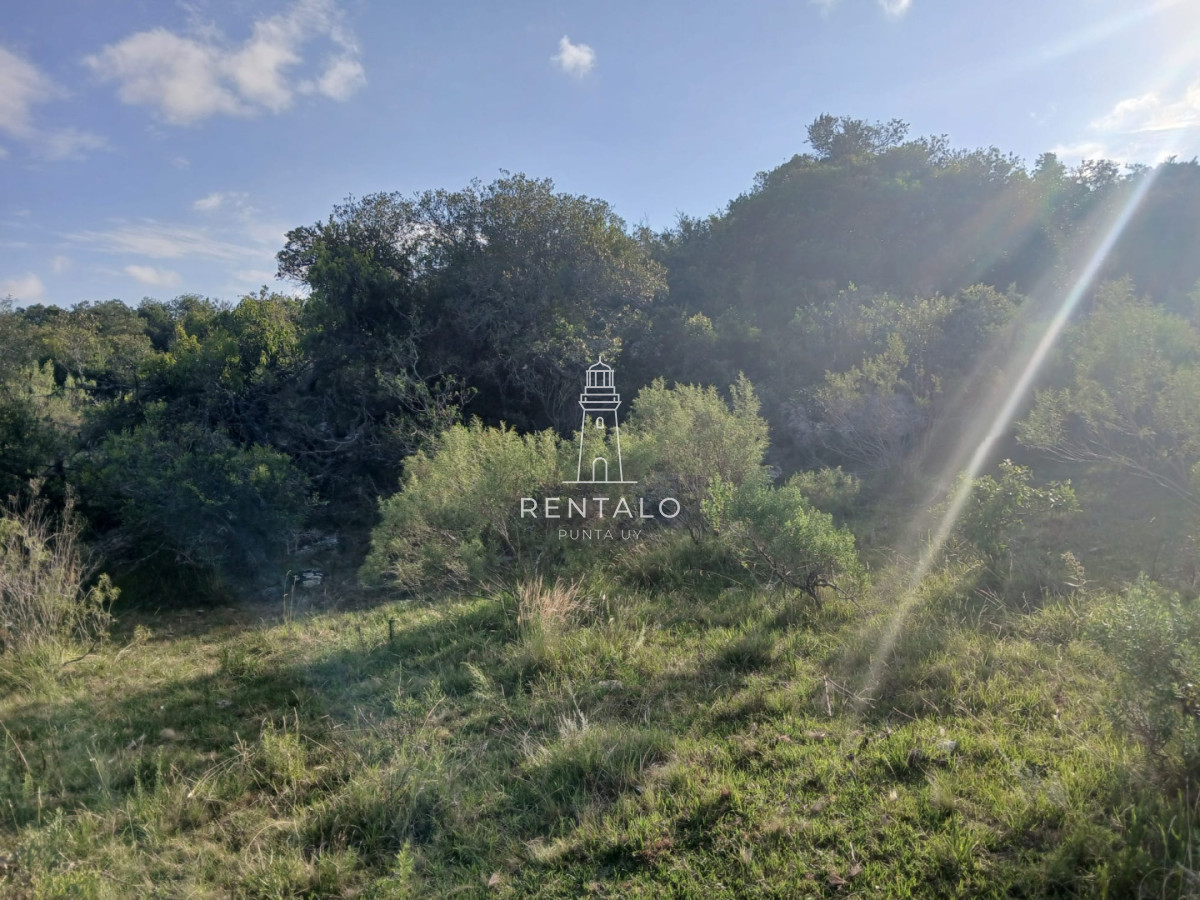 Chacra ID.1134 - 21 has en pueblo Eden con costa de arroyo