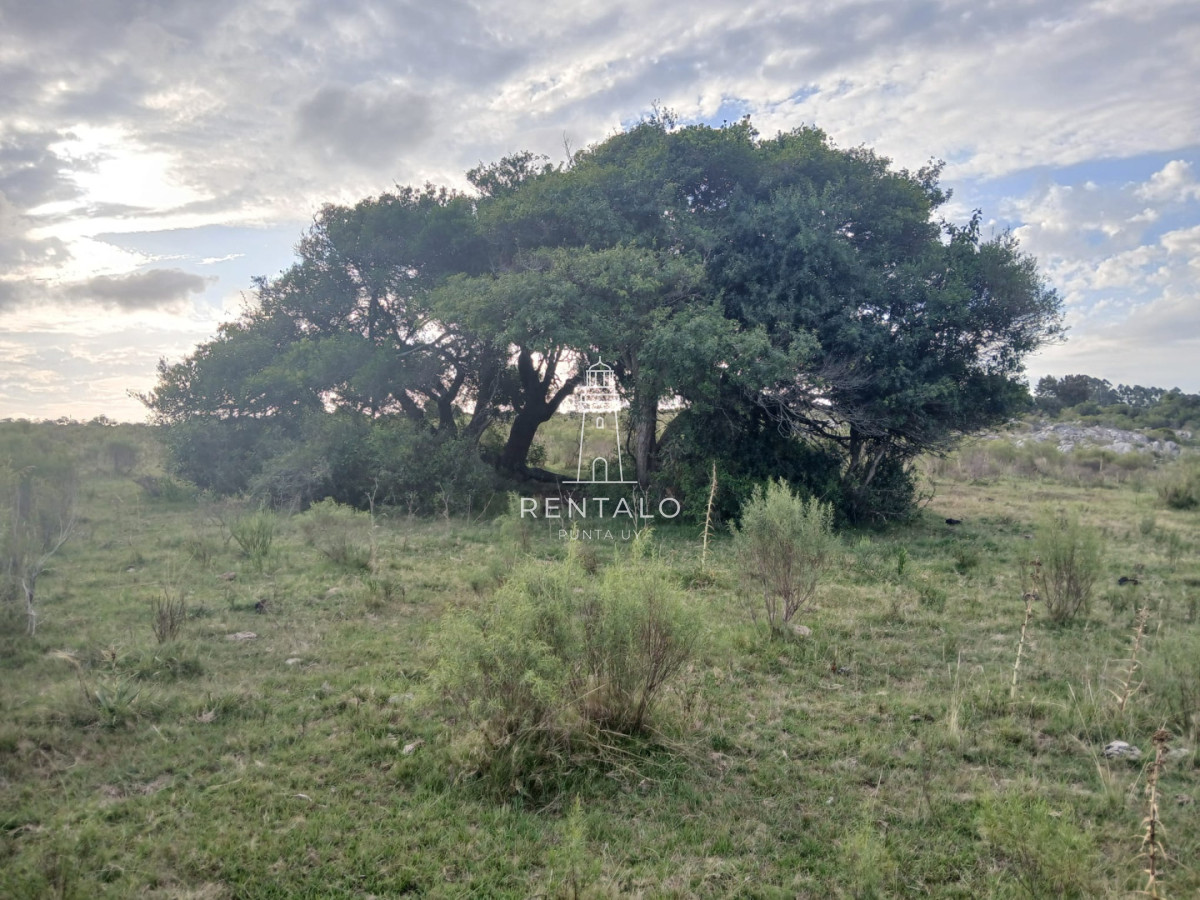 Chacra ID.1134 - 21 has en pueblo Eden con costa de arroyo