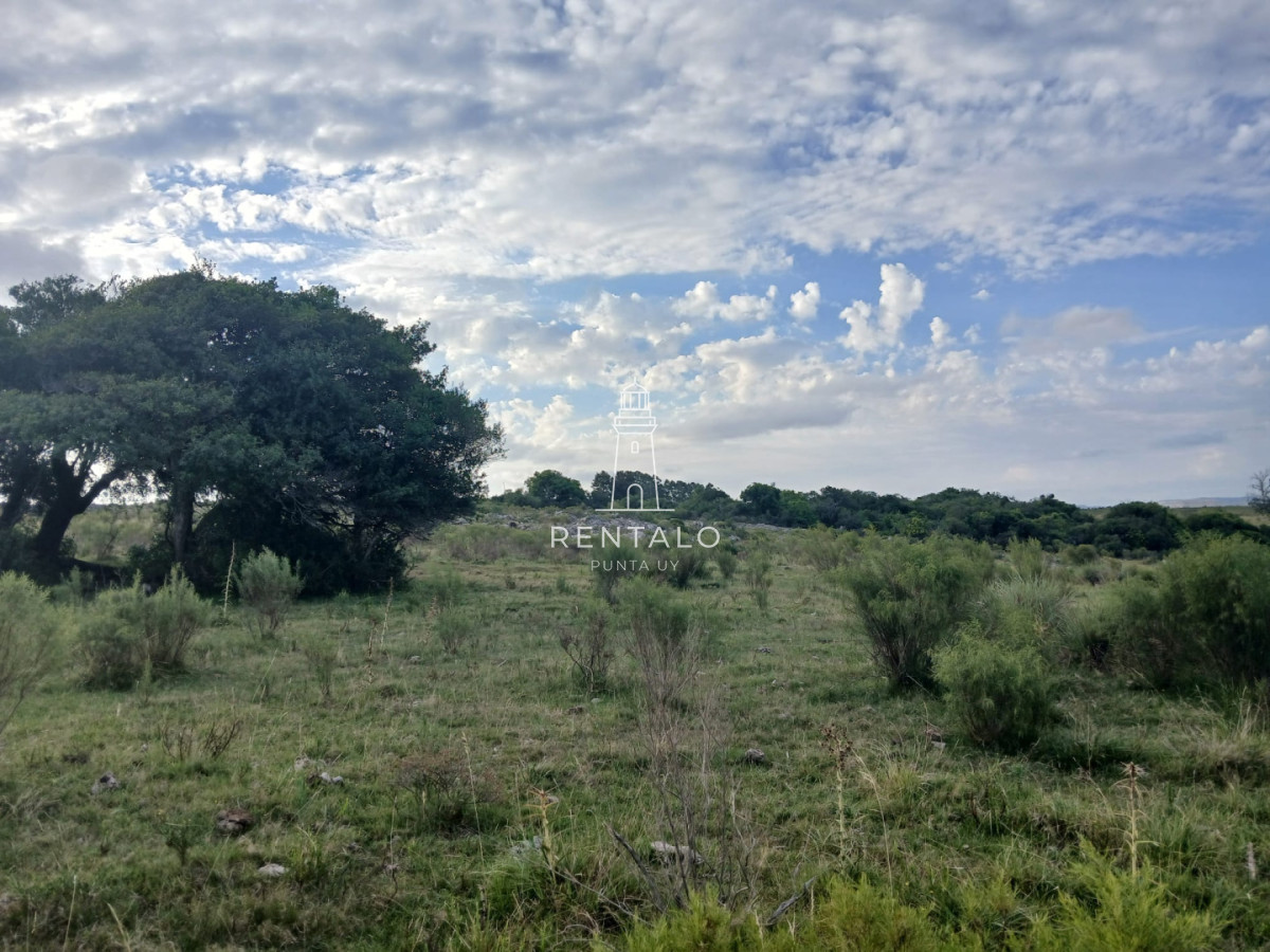 Chacra ID.1134 - 21 has en pueblo Eden con costa de arroyo