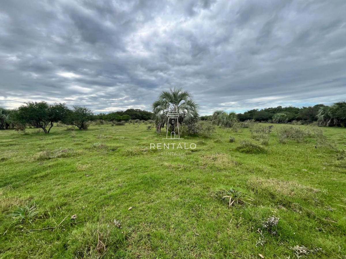 Chacra ID.1135 - Venta de chacras de 3 has en camino de Los Ceibos. Maldonado. 