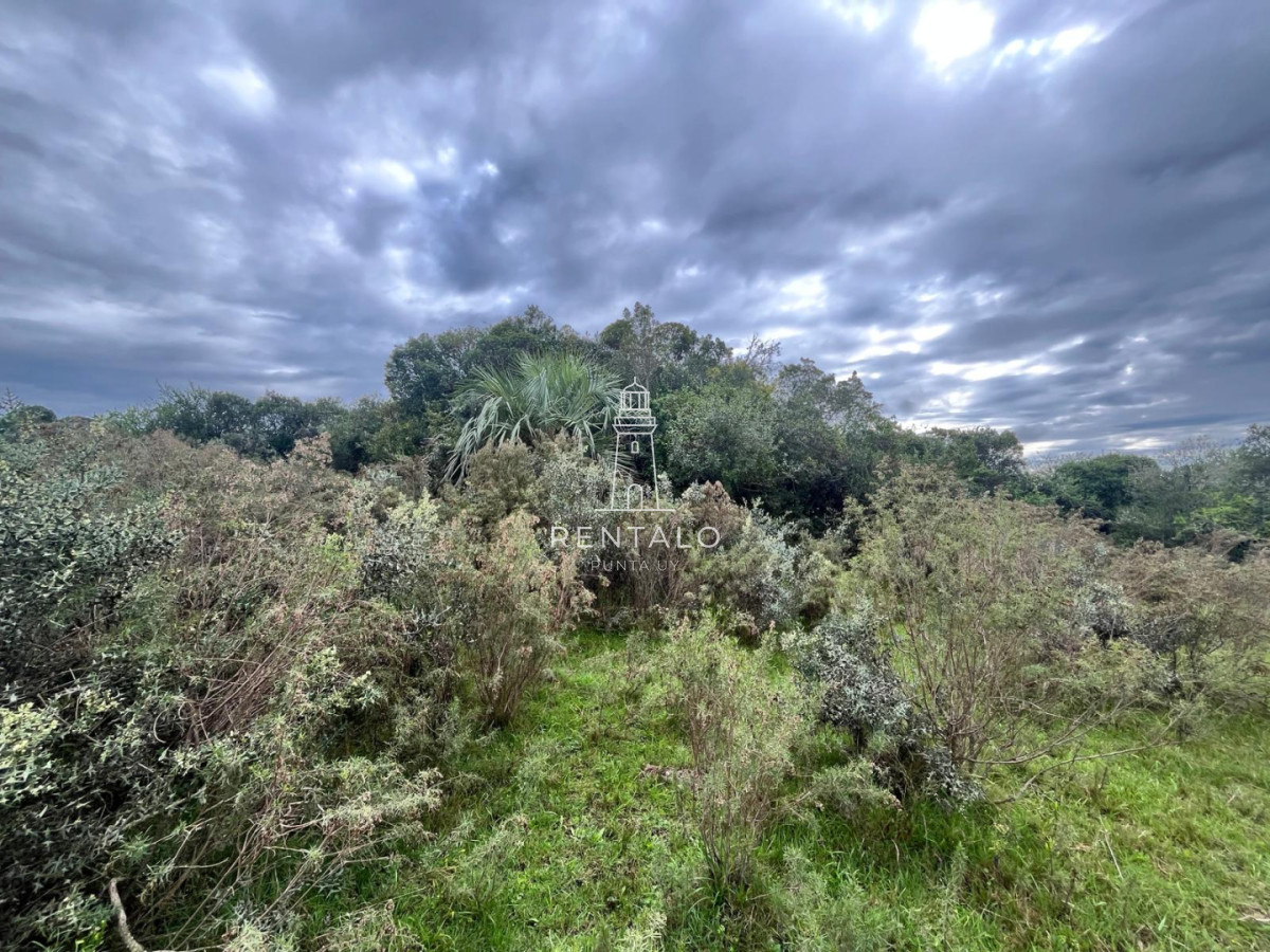 Chacra ID.1135 - Venta de chacras de 3 has en camino de Los Ceibos. Maldonado. 