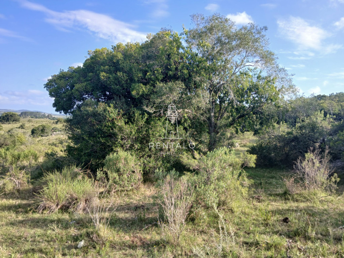 Chacra ID.1134 - 21 has en pueblo Eden con costa de arroyo
