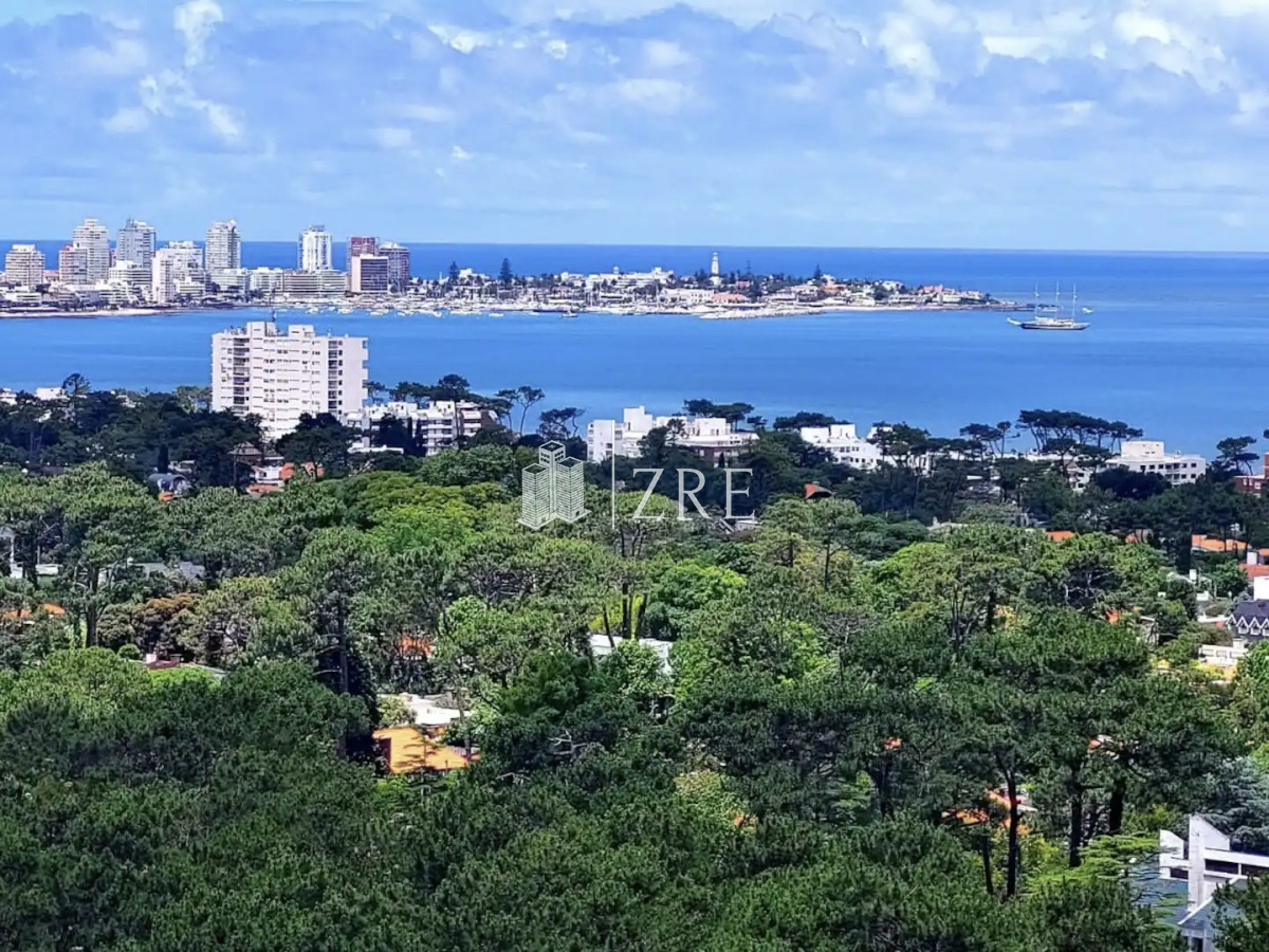 Apartamento ID.154 - Venta apartamento 1 dormitorio Roosevelt, Punta del Este 