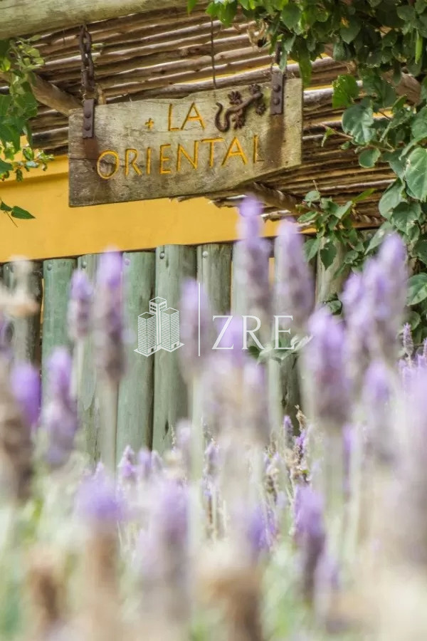 Casa ID.192 - Casa en venta 7 dormitorios Punta Piedras