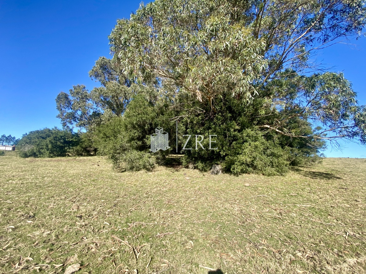 Chacra ID.744 - Venta chacra 5 hectáreas. 
