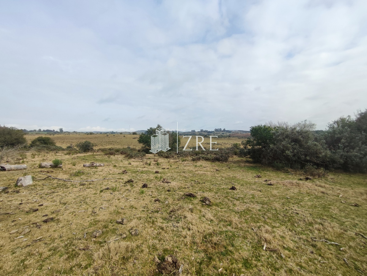 Chacra ID.265 - Venta chacra con costa arroyo. Ruta 12 Maldonado 