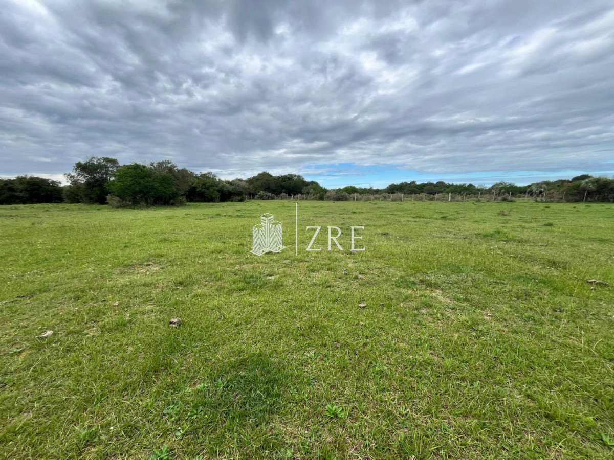 Chacra ID.1371 - Venta de chacras de 3 has en camino de Los Ceibos