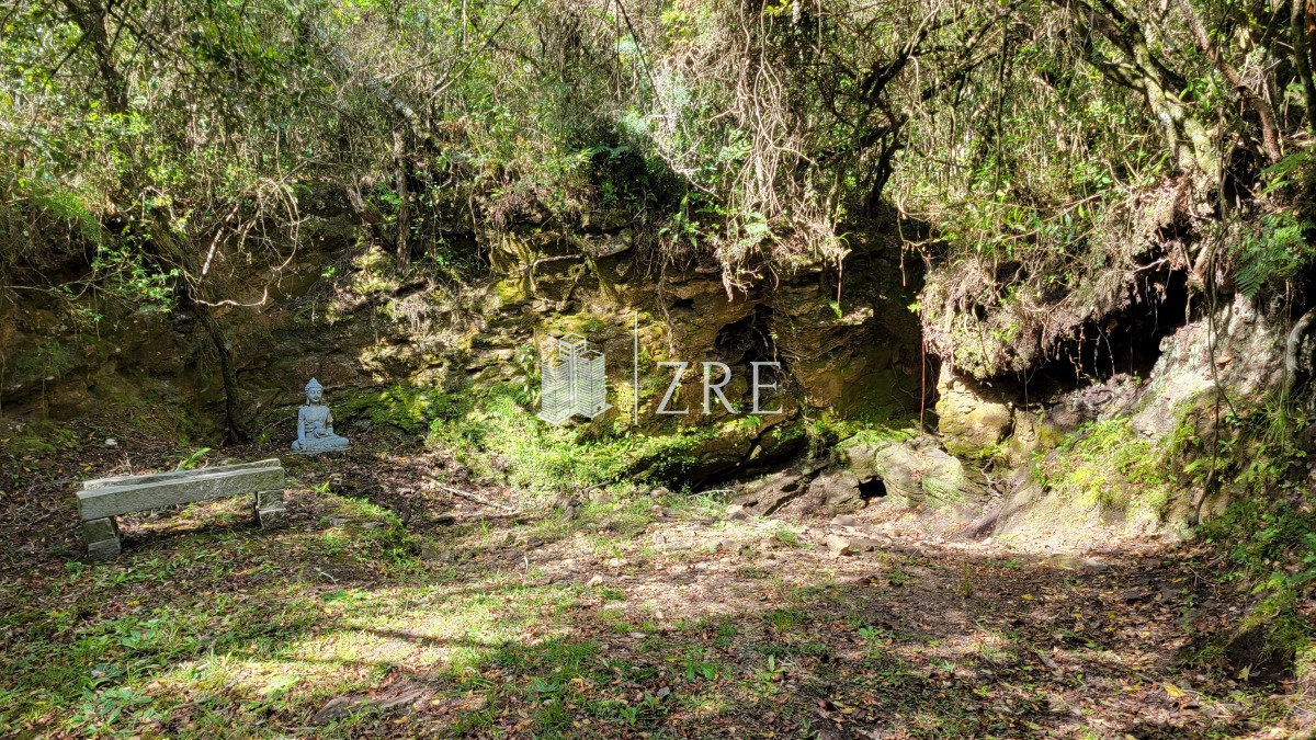 Chacra ID.207 - Venta chacra 11 hectáreas Ruta 12 Pueblo Edén 