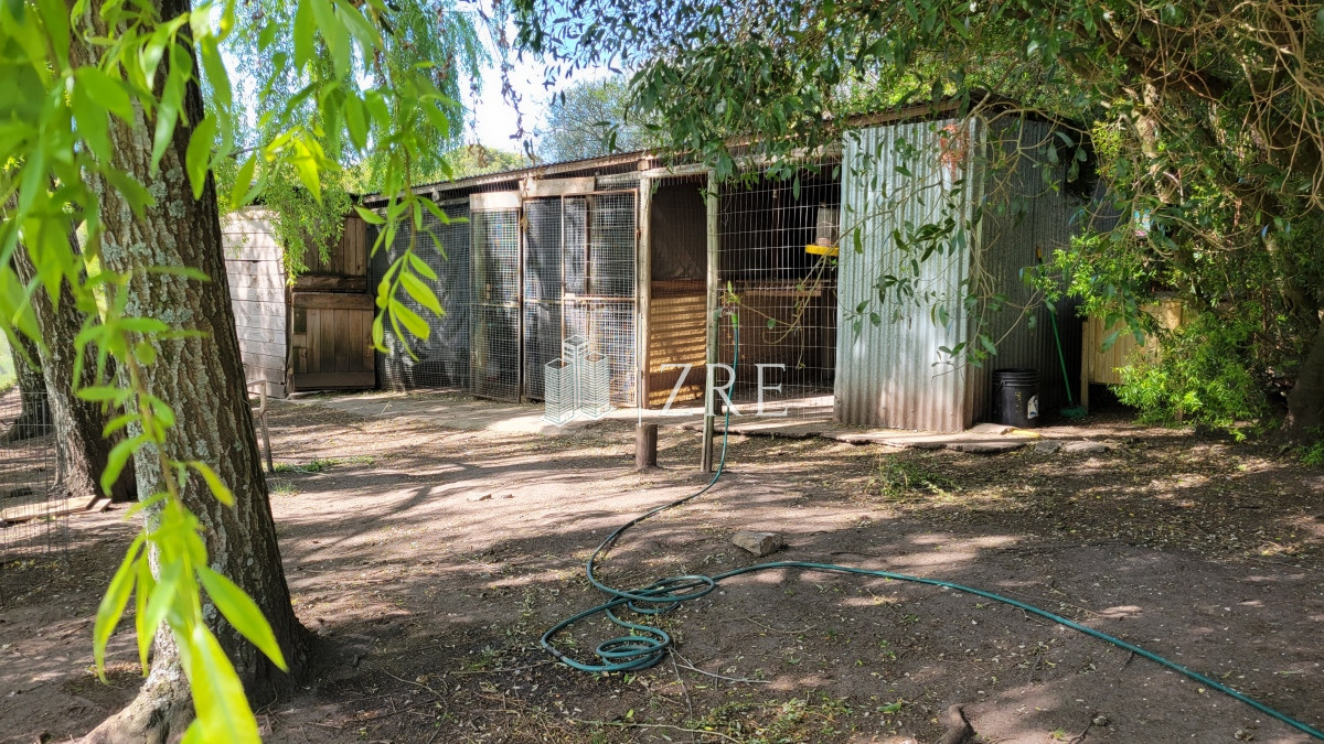 Chacra ID.207 - Venta chacra 11 hectáreas Ruta 12 Pueblo Edén 