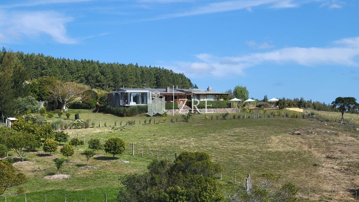 Chacra ID.207 - Venta chacra 11 hectáreas Ruta 12 Pueblo Edén 