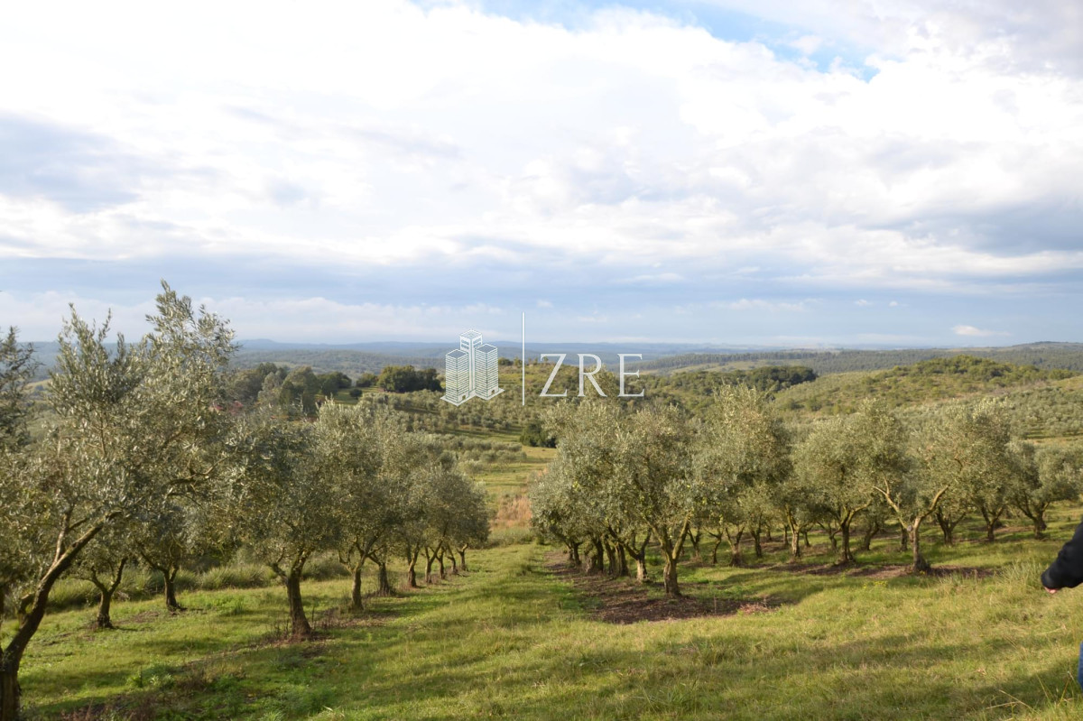 Chacra ID.115 - Venta chacra 5 hectáreas. Garzón, Maldonado. Financiación propia. 