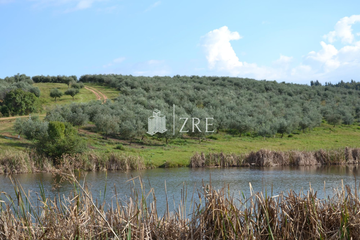 Chacra ID.115 - Venta chacra 5 hectáreas. Garzón, Maldonado. Financiación propia. 