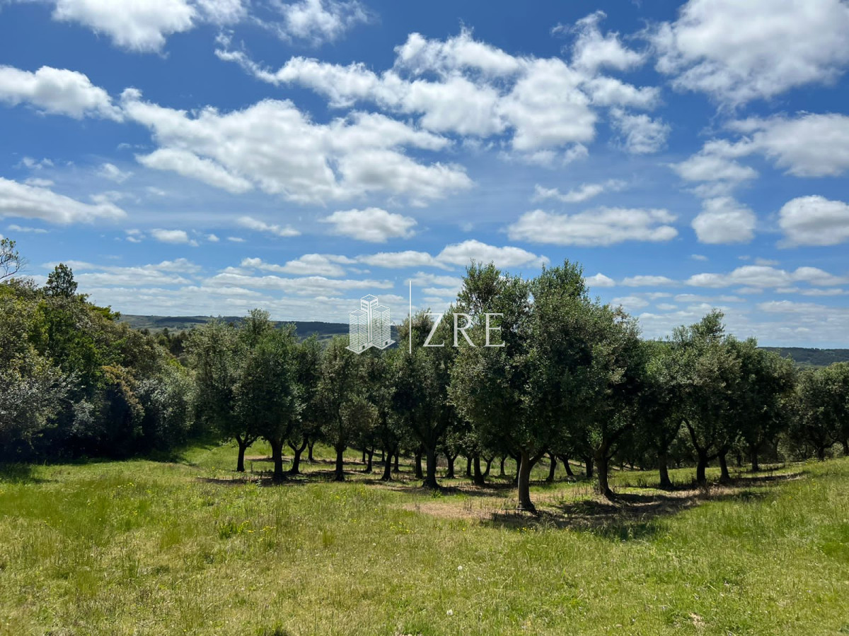 Chacra ID.115 - Venta chacra 5 hectáreas. Garzón, Maldonado. Financiación propia. 