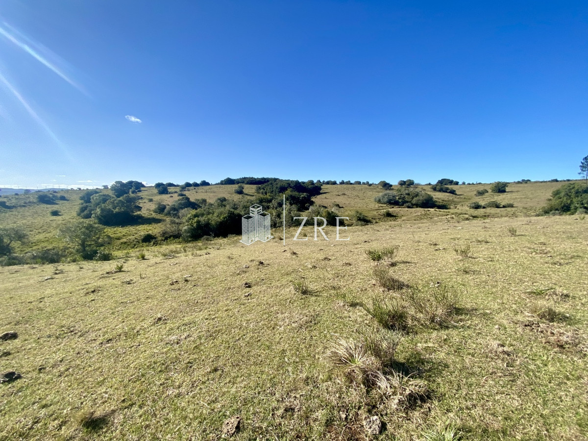 Chacra ID.749 - Venta chacra 5 hectáreas. Pueblo Edén, Maldonado. 