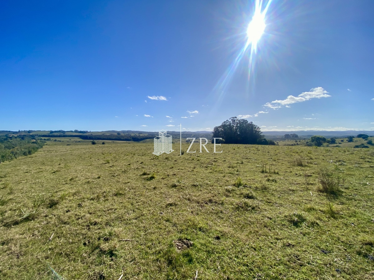 Chacra ID.749 - Venta chacra 5 hectáreas. Pueblo Edén, Maldonado. 