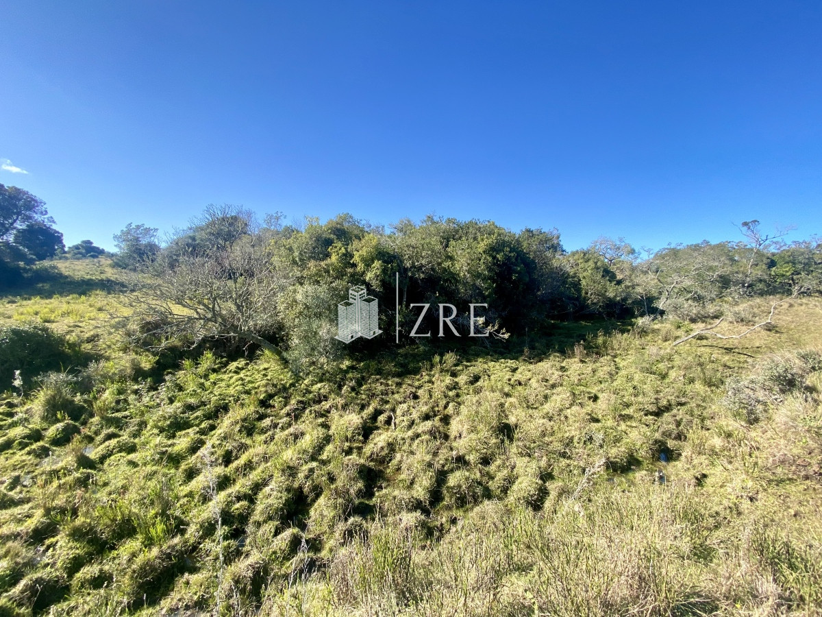 Chacra ID.749 - Venta chacra 5 hectáreas. Pueblo Edén, Maldonado. 