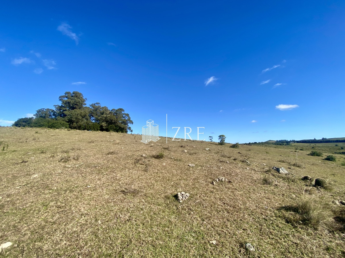 Chacra ID.749 - Venta chacra 5 hectáreas. Pueblo Edén, Maldonado. 