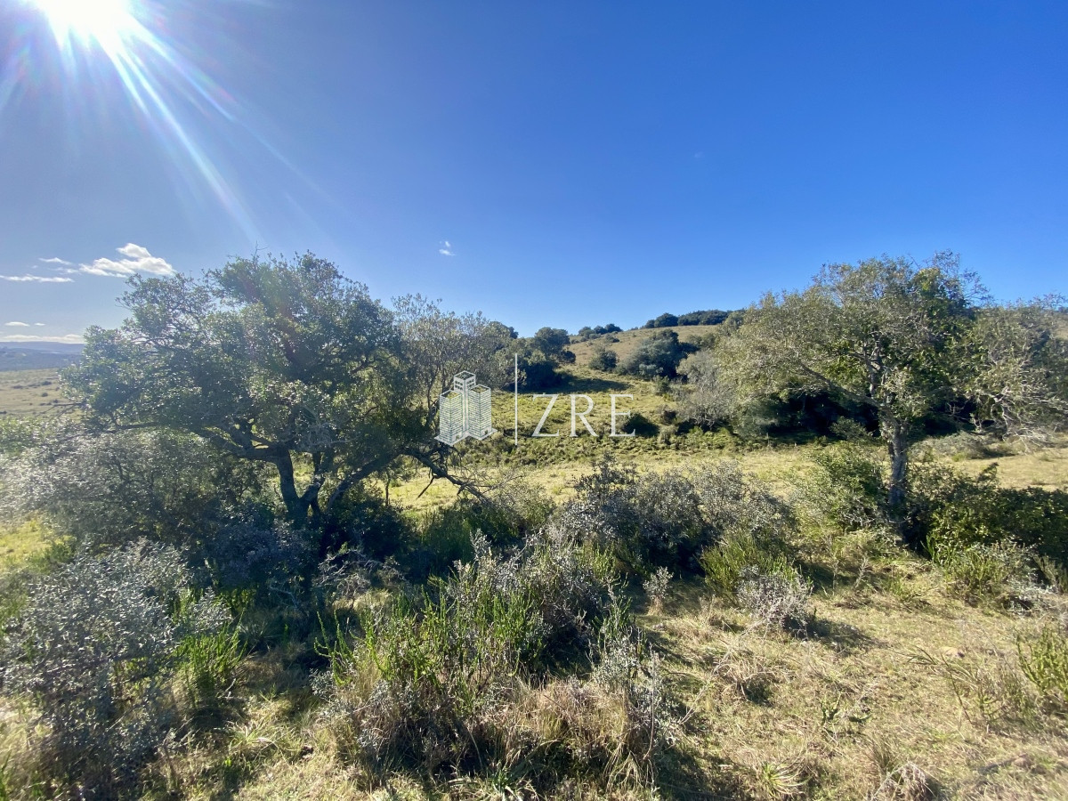 Chacra ID.749 - Venta chacra 5 hectáreas. Pueblo Edén, Maldonado. 