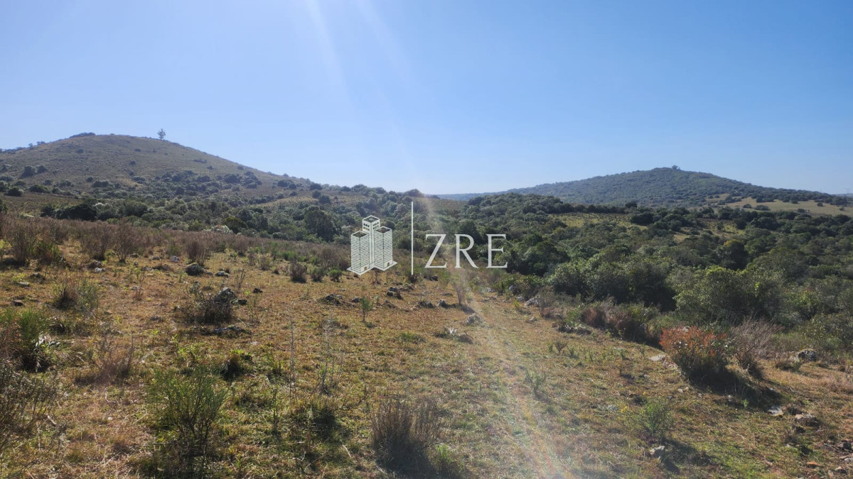 Chacra ID.678 - Venta chacra 4 hectáreas.