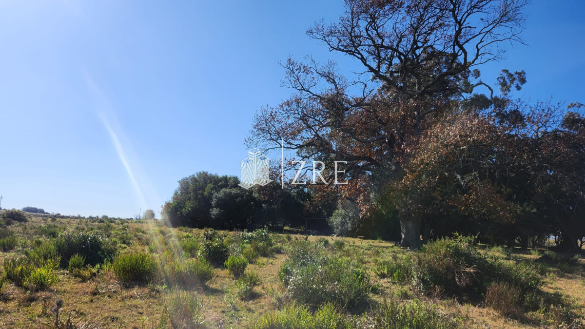 Chacra ID.678 - Venta chacra 4 hectáreas.