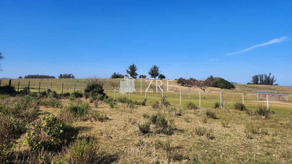 Chacra ID.678 - Venta chacra 4 hectáreas.