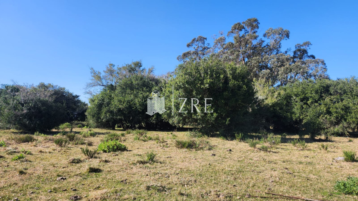 Chacra ID.678 - Venta chacra 4 hectáreas.
