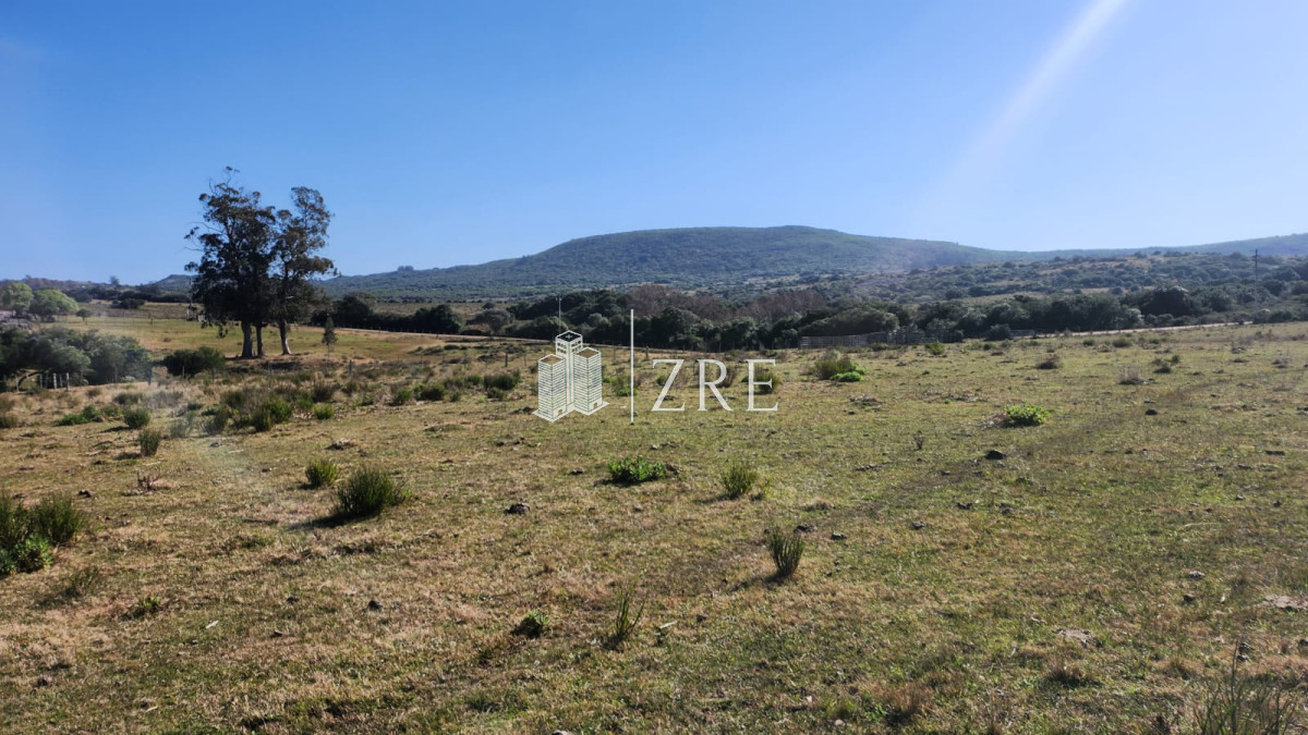 Chacra ID.678 - Venta chacra 4 hectáreas.