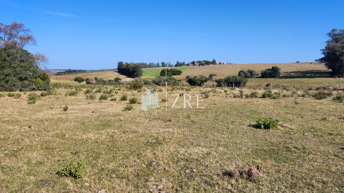 Chacra ID.678 - Venta chacra 4 hectáreas.