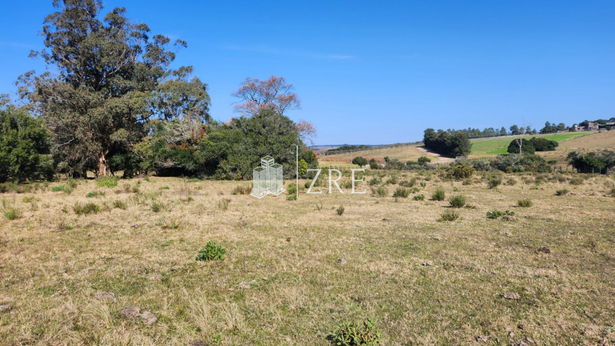 Chacra ID.678 - Venta chacra 4 hectáreas.
