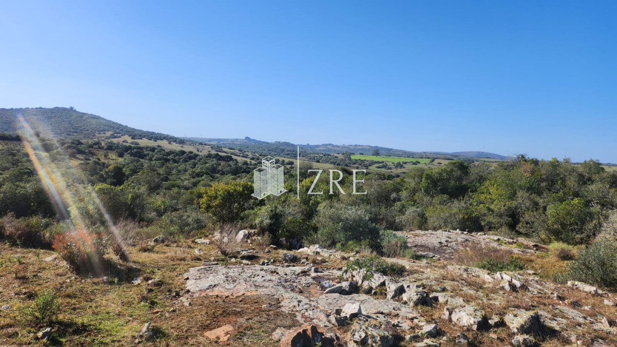 Chacra ID.678 - Venta chacra 4 hectáreas.