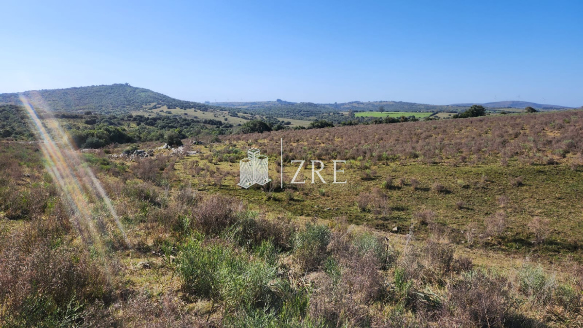 Chacra ID.678 - Venta chacra 4 hectáreas.