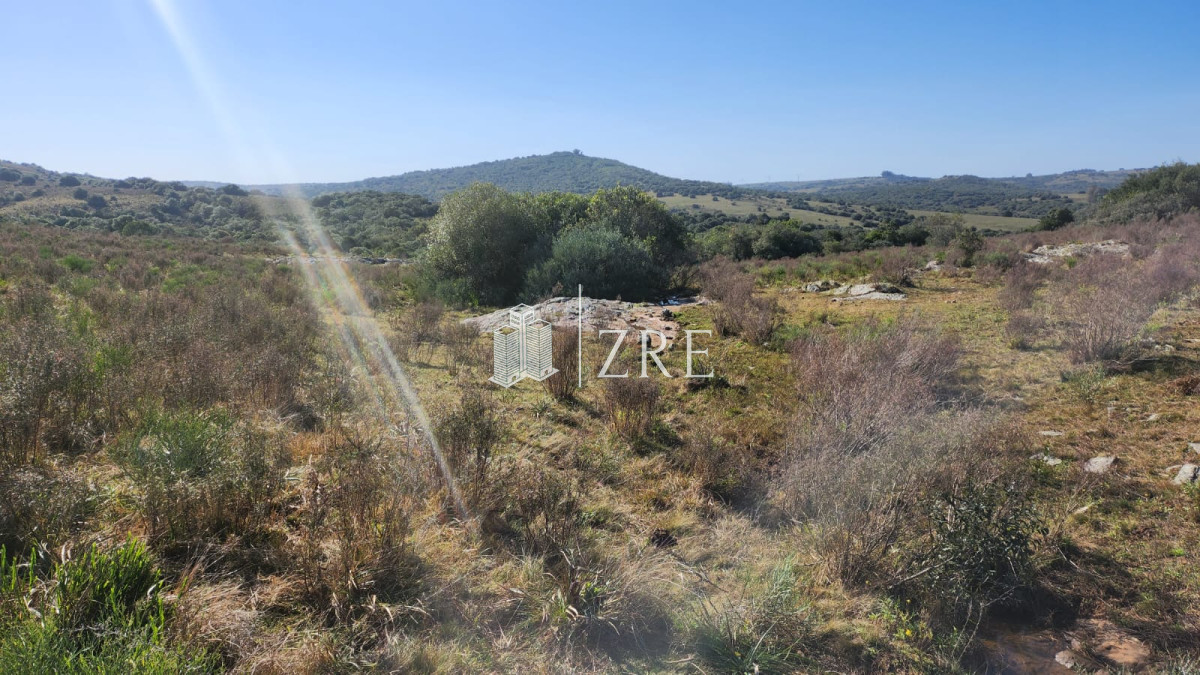 Chacra ID.678 - Venta chacra 4 hectáreas.