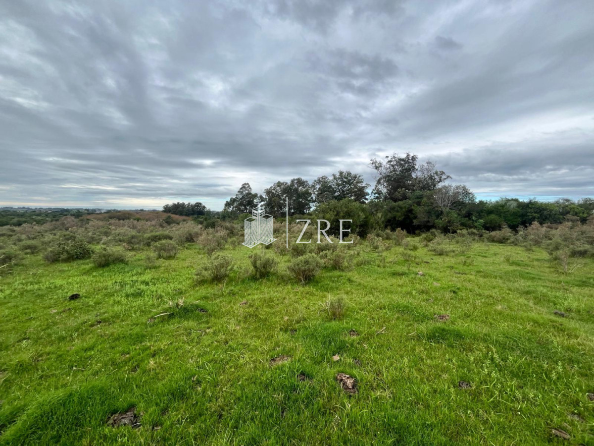 Chacra ID.1371 - Venta de chacras de 3 has en camino de Los Ceibos