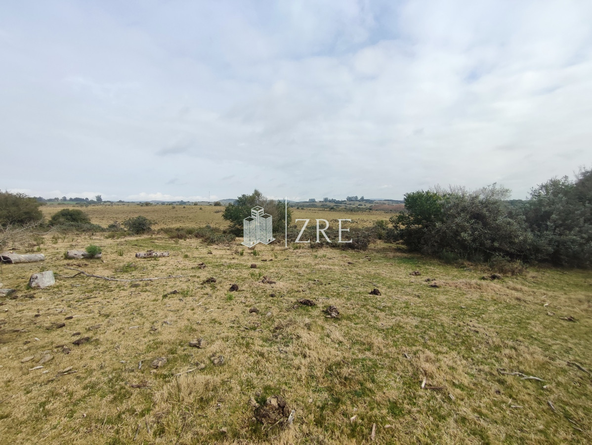 Chacra ID.265 - Venta chacra con costa arroyo. Ruta 12 Maldonado 