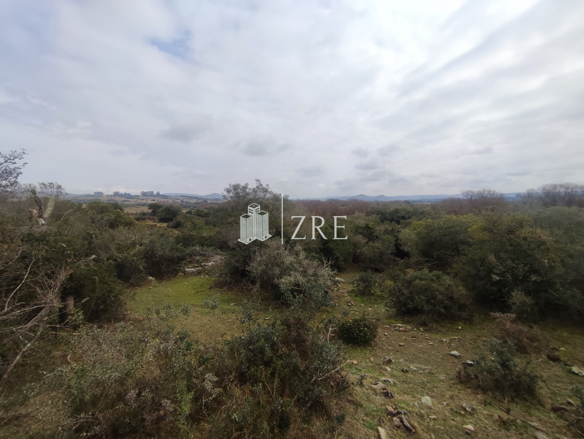 Chacra ID.265 - Venta chacra con costa arroyo. Ruta 12 Maldonado 