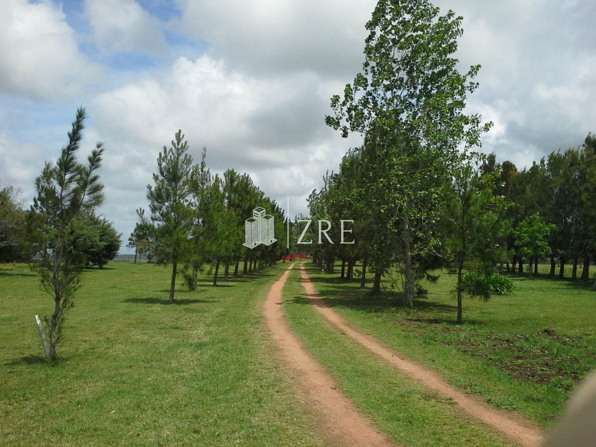 Chacra ID.702 - Venta espectacular chacra en Manantiales - 4.6 hectáreas