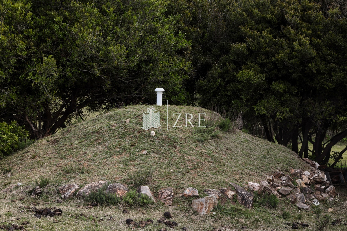 Chacra ID.207 - Venta chacra 11 hectáreas Ruta 12 Pueblo Edén 