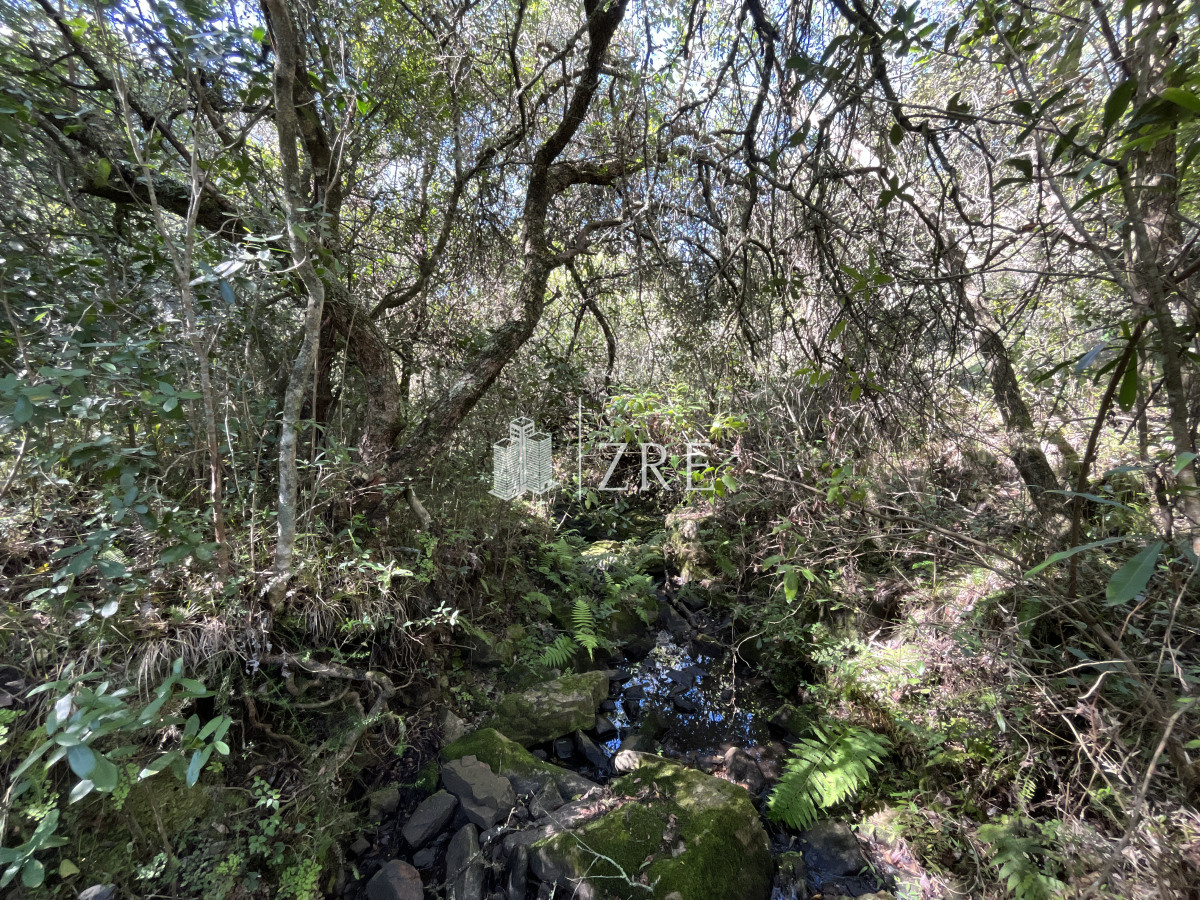 Chacra ID.647 - Venta Chacras Pueblo Edén. ruta 12, Maldonado. 