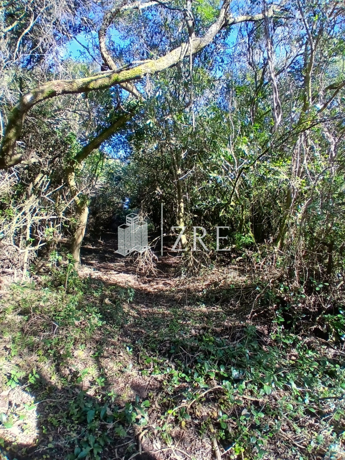 Chacra ID.542 - Venta chacra 18 has camino de los ceibos, maldonado