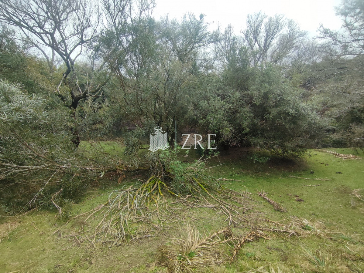 Chacra ID.265 - Venta chacra con costa arroyo. Ruta 12 Maldonado 