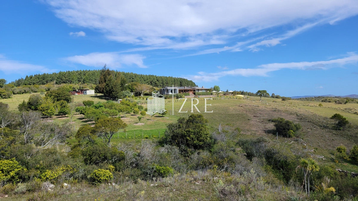 Chacra ID.207 - Venta chacra 11 hectáreas Ruta 12 Pueblo Edén 