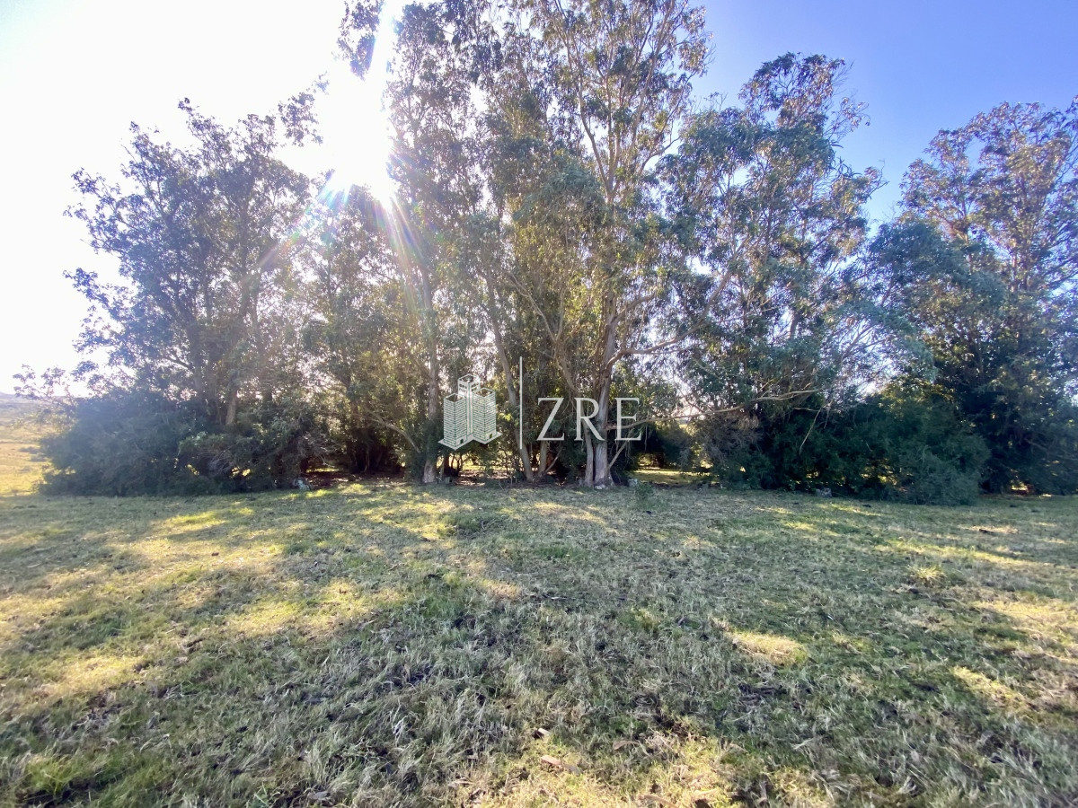 Chacra ID.744 - Venta chacra 5 hectáreas. 