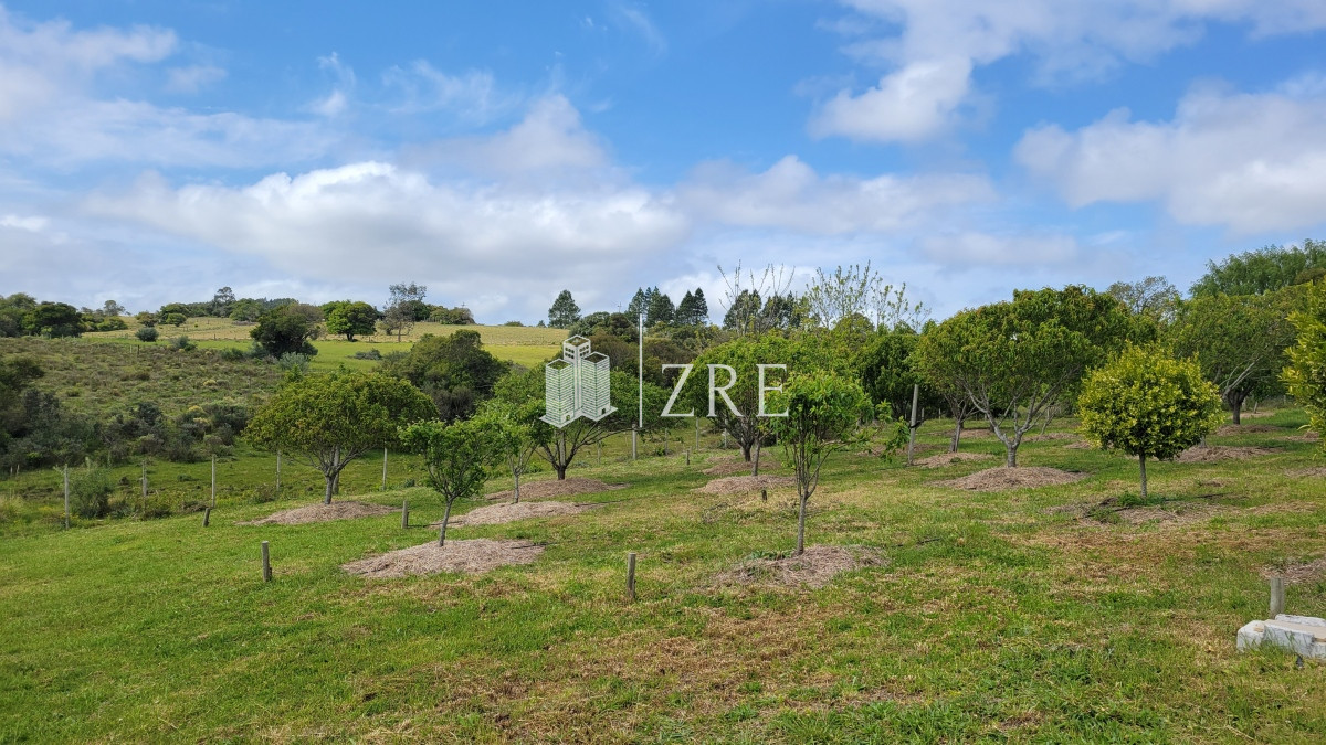 Chacra ID.207 - Venta chacra 11 hectáreas Ruta 12 Pueblo Edén 
