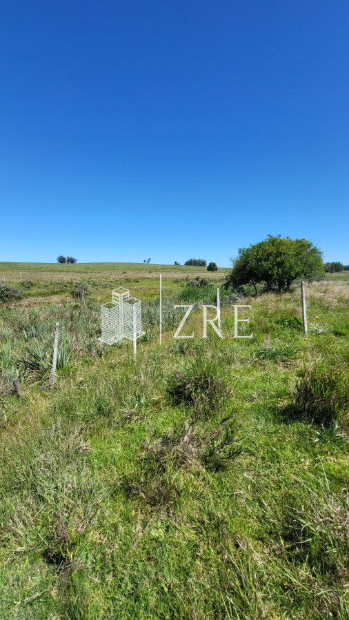 Chacra ID.96 - Venta chacra Jose Ignacio con costa Arroyo Anastasio
