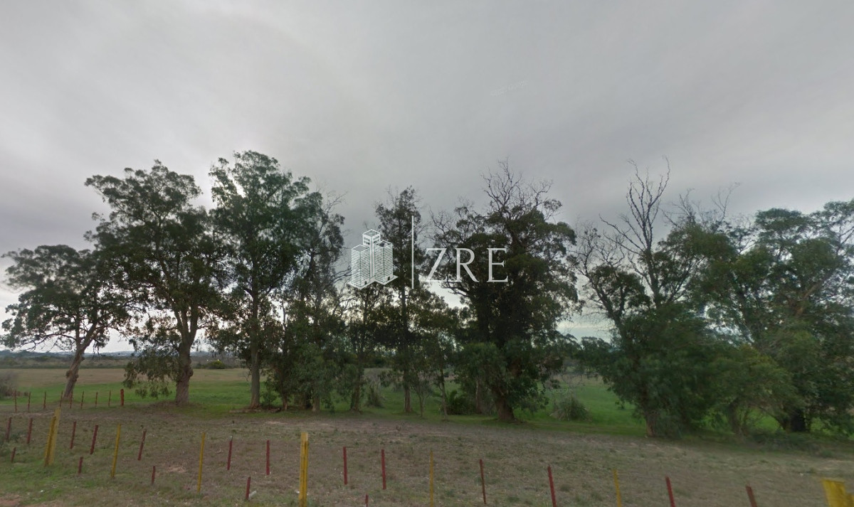 Chacra ID.141 - Venta chacra en Punta del Este
