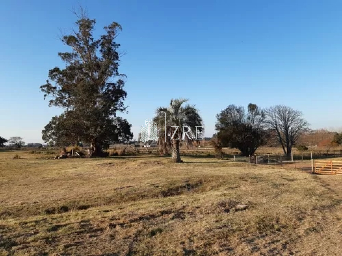 Chacra ID.197 - Venta chacra 5 hectáreas Próximo a Maldonado.  