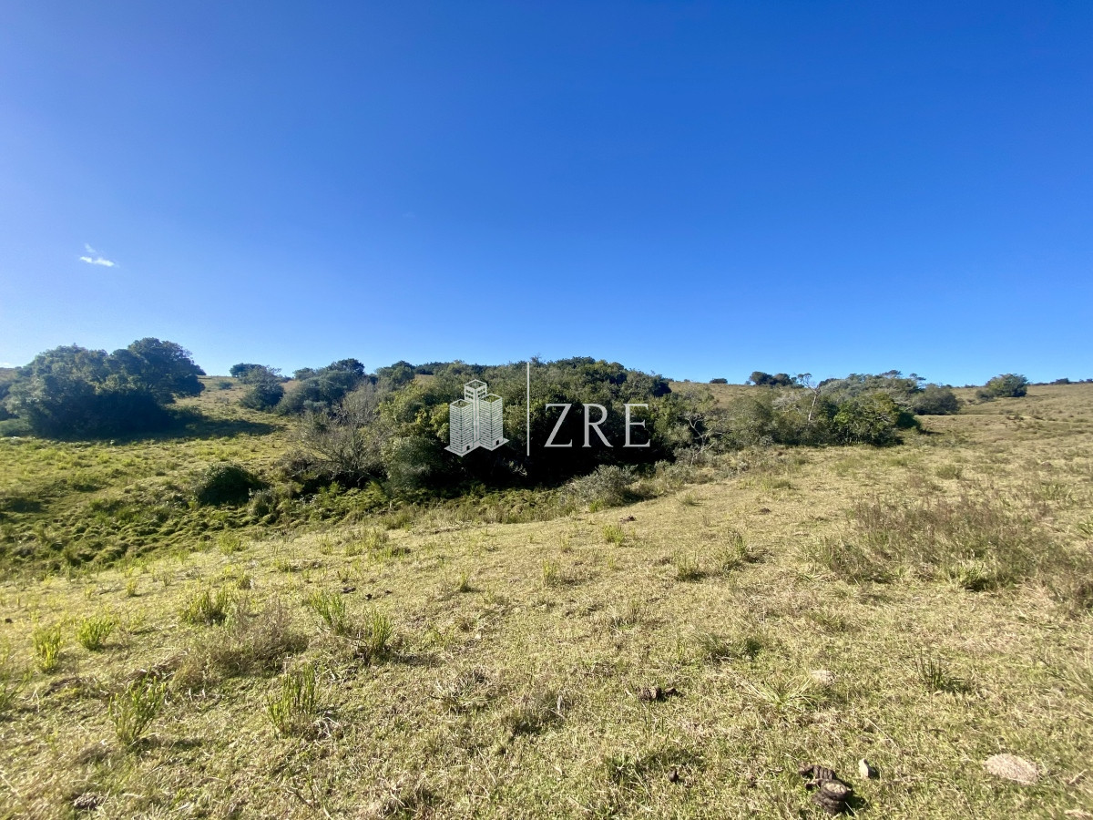 Chacra ID.744 - Venta chacra 5 hectáreas. 