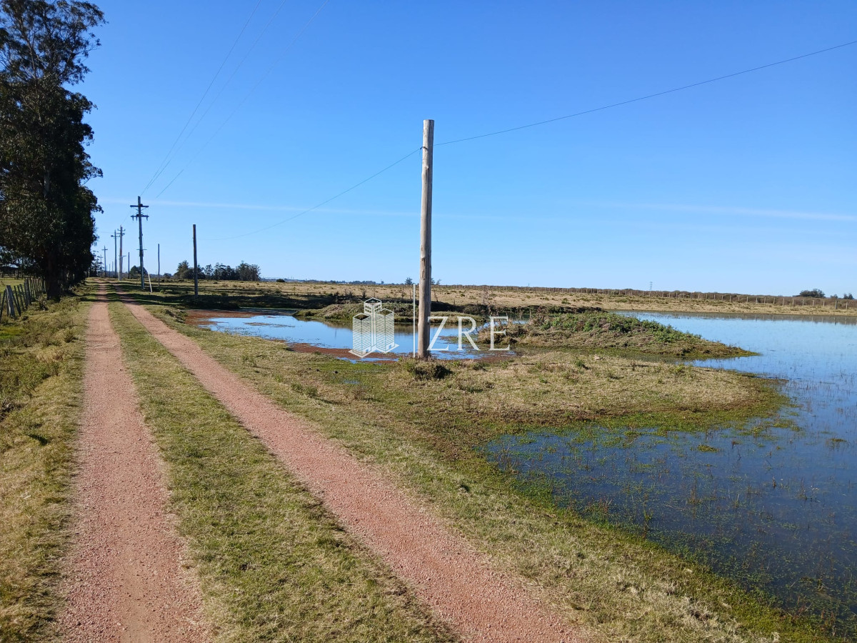 Chacra ID.542 - Venta chacra 18 has camino de los ceibos, maldonado